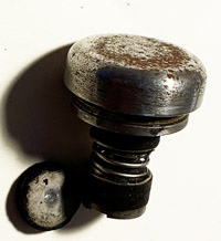 wg027