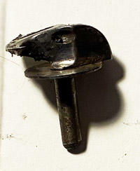wg037